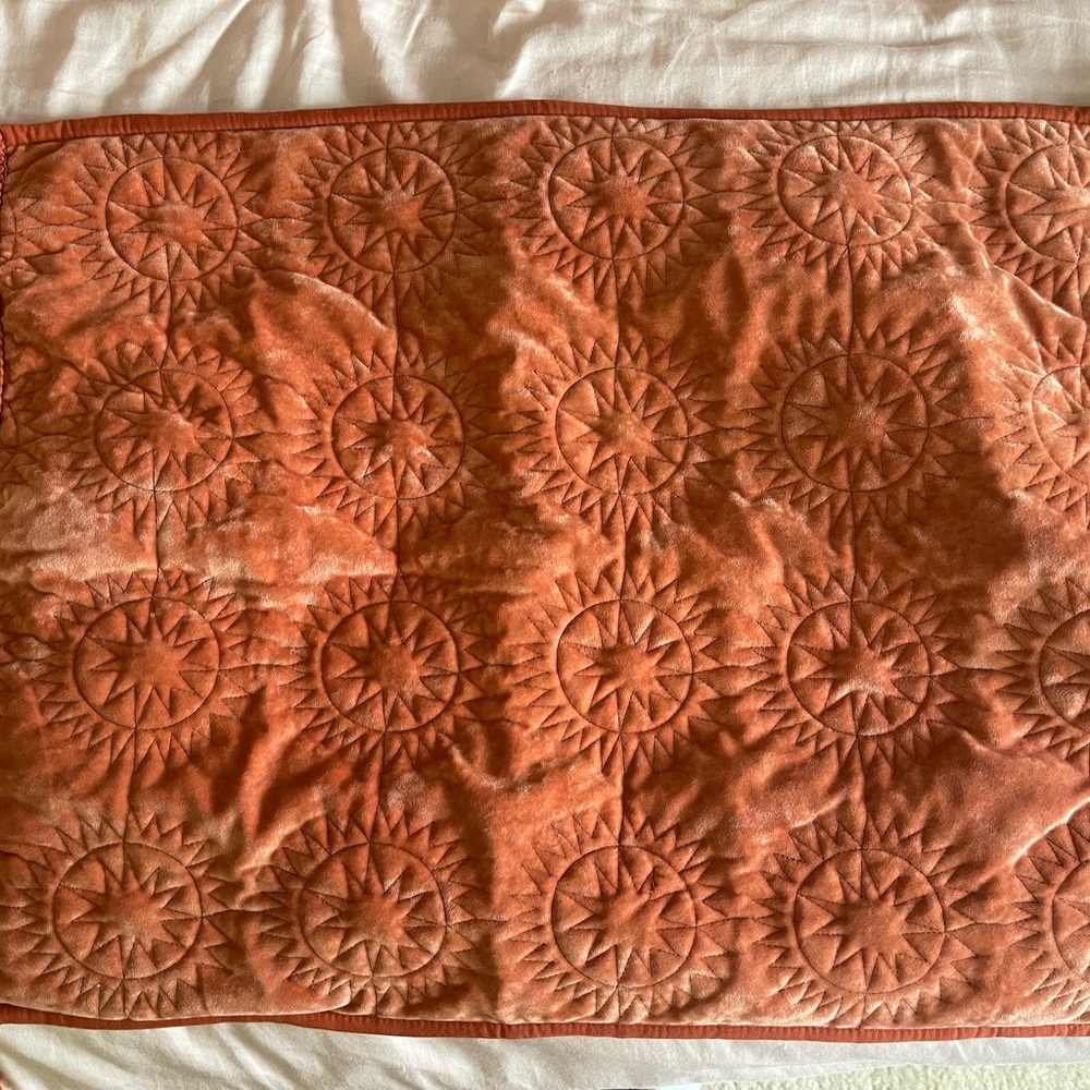Set of 2 Burnt Orange Velvet Pillow Shams with Tassels – Boho/Celestial Décor